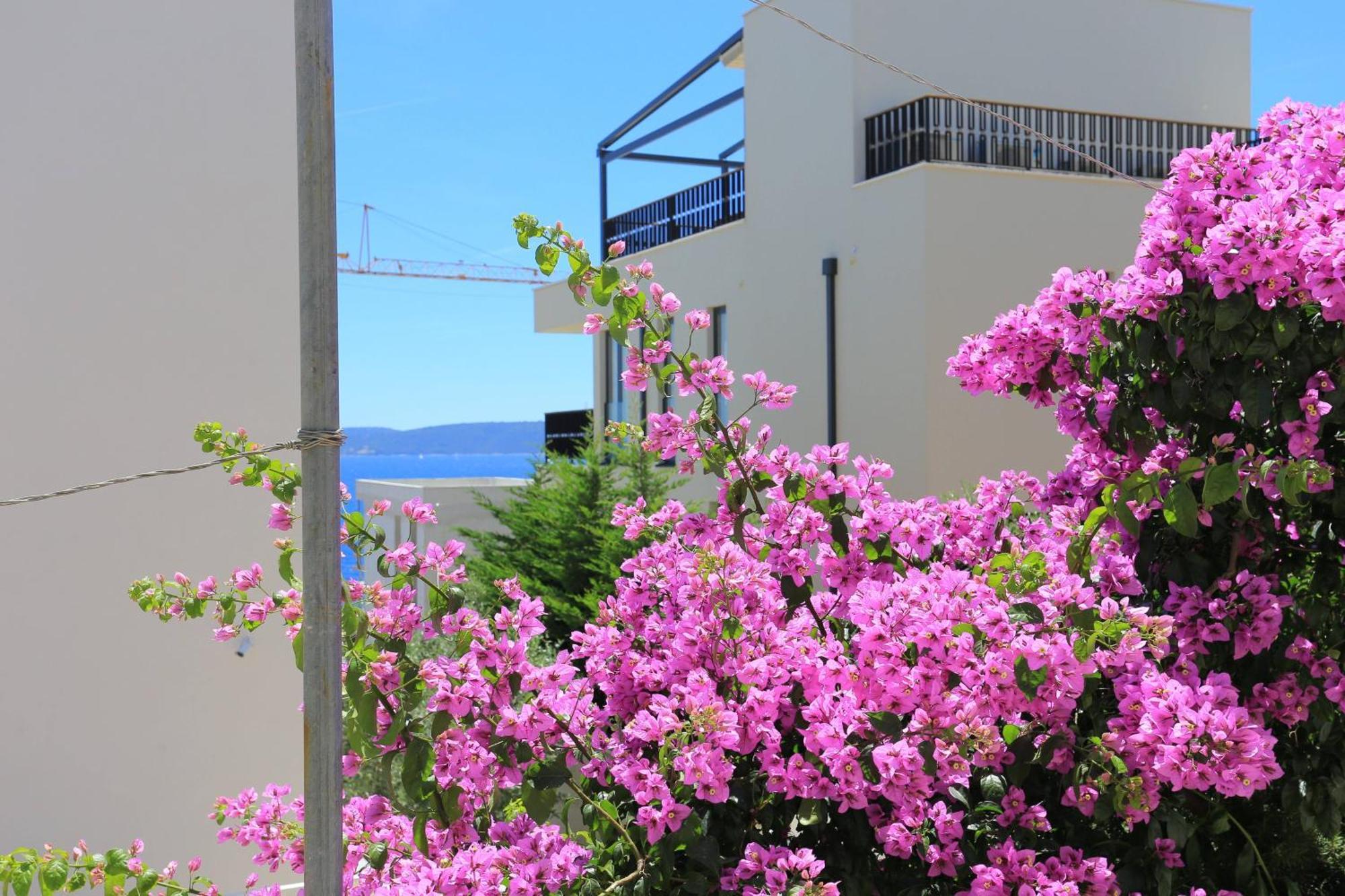 Family Friendly Apartments With A Swimming Pool Businci, Ciovo - 11232 Trogir Exteriör bild